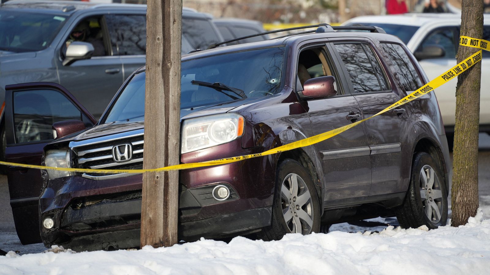 The woman's car drove into a telephone pole after the shooting . Pic: Reuters.