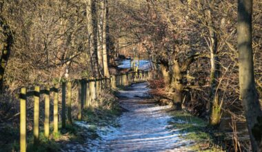 Manchester Evening News