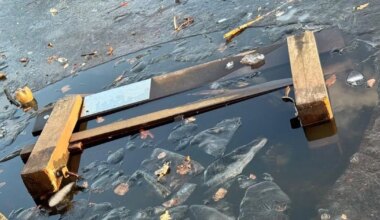 Manchester Evening News