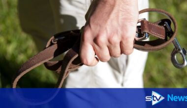 Dog trainer caught attacking and attempting to strangle Staffordshire Bull Terrier in Glasgow park