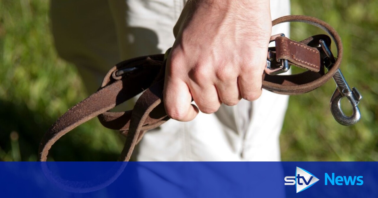 Dog trainer caught attacking and attempting to strangle Staffordshire Bull Terrier in Glasgow park