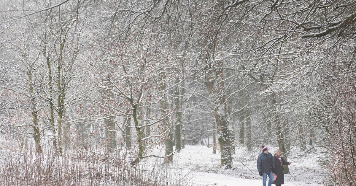 Manchester Evening News