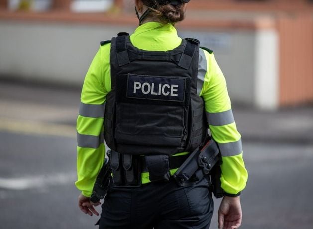 PSNI investigating dog hit-and-run on Shaws Road