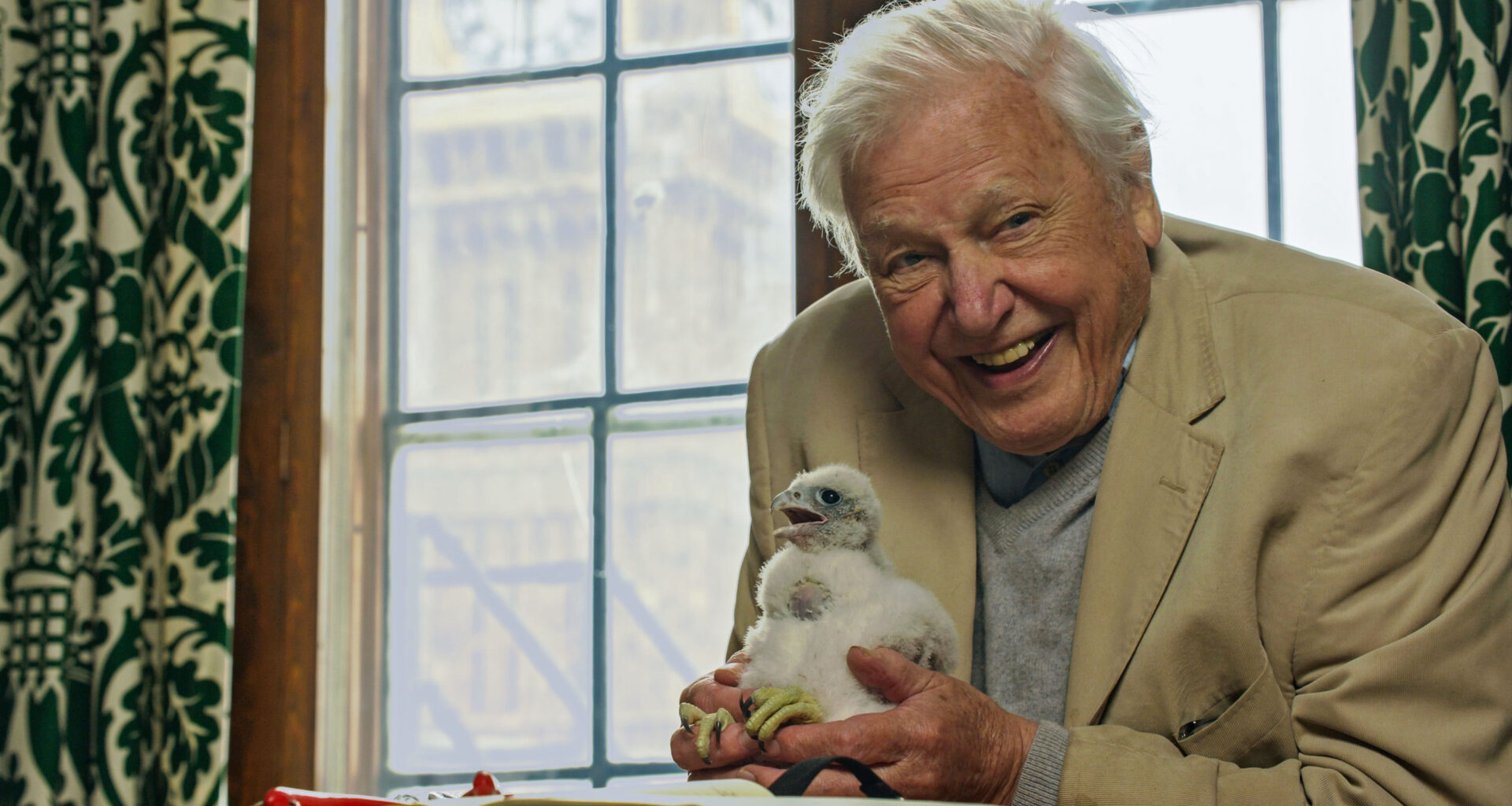 5 Things We Learned From David Attenborough’s New Nature Doc