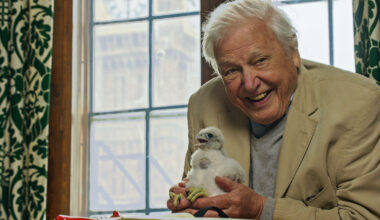 5 Things We Learned From David Attenborough’s New Nature Doc