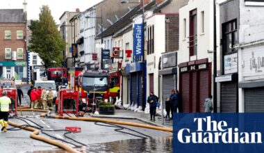 Wildlife targets will be missed in England and Northern Ireland, watchdog says | Environment