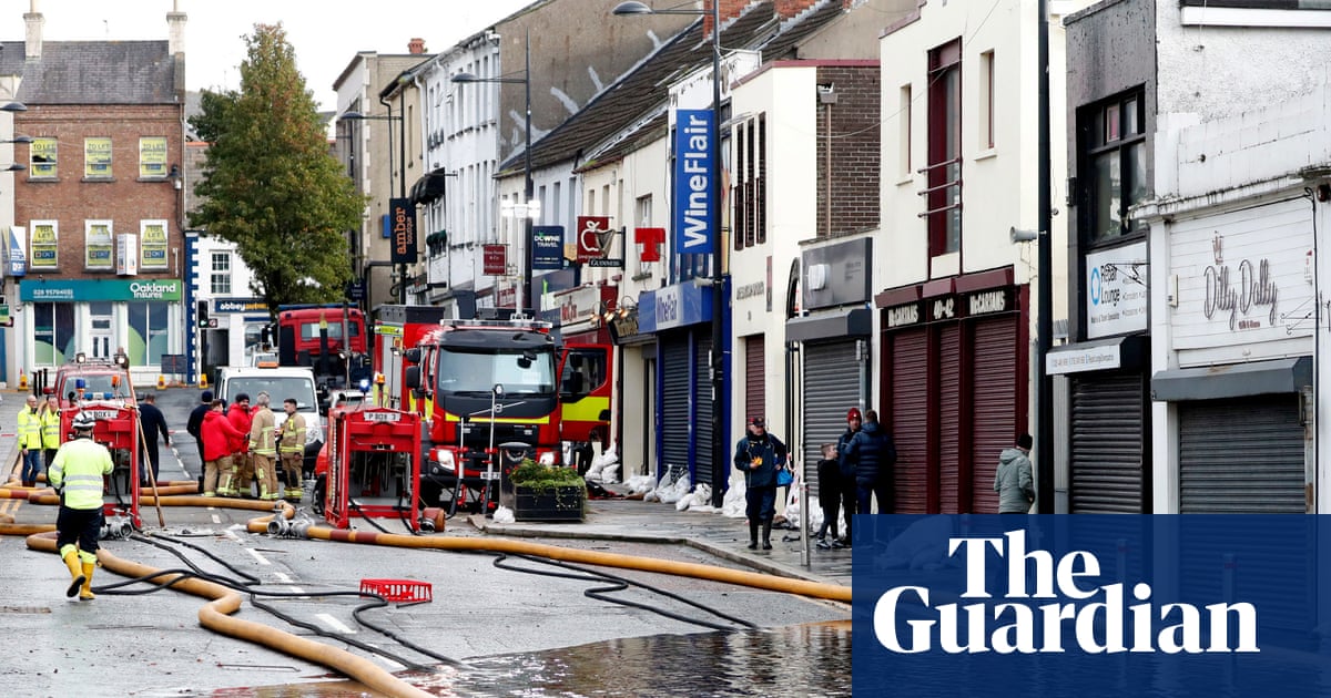 Wildlife targets will be missed in England and Northern Ireland, watchdog says | Environment