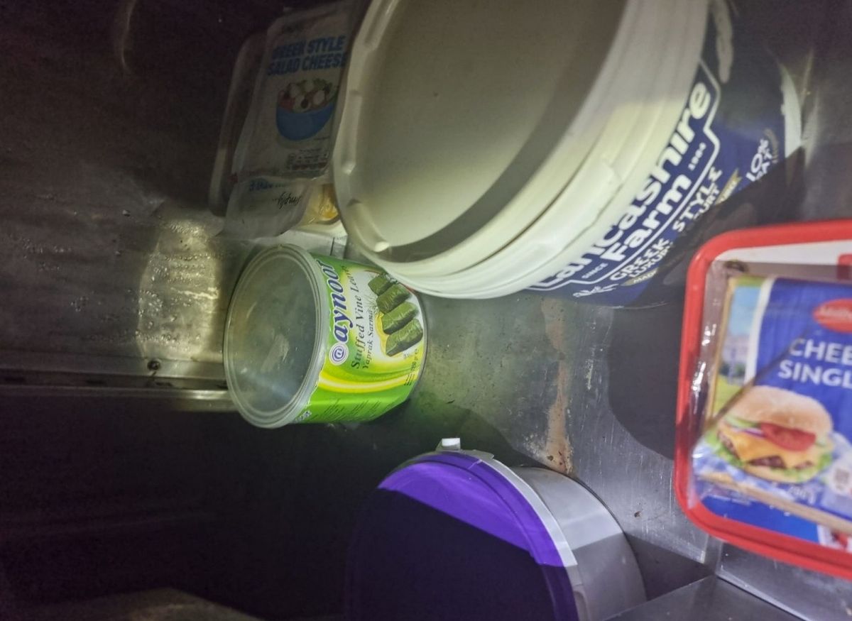 Slime found on the base of the kitchen fridge