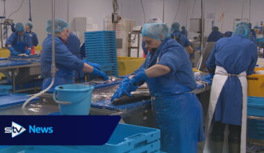 Scottish fish processors warn new EU export paperwork could put jobs at risk