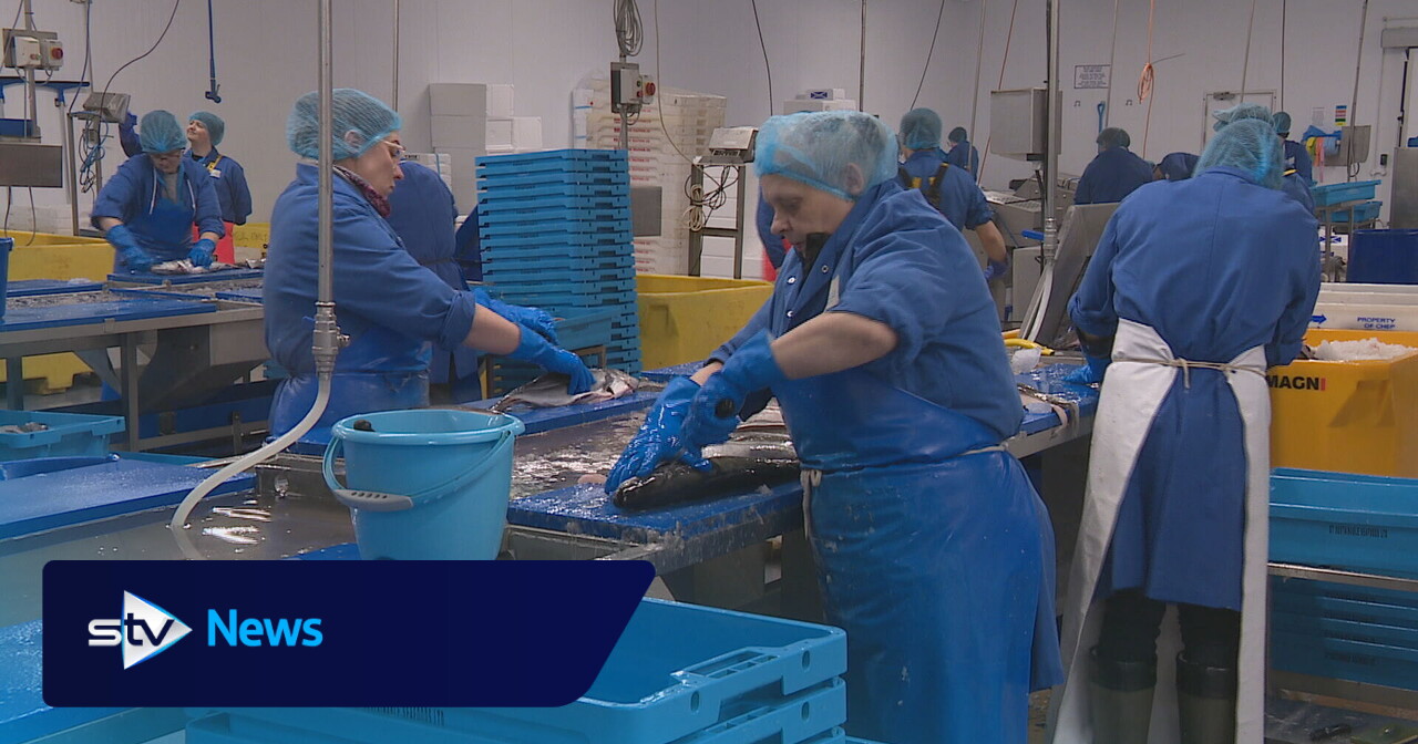 Scottish fish processors warn new EU export paperwork could put jobs at risk