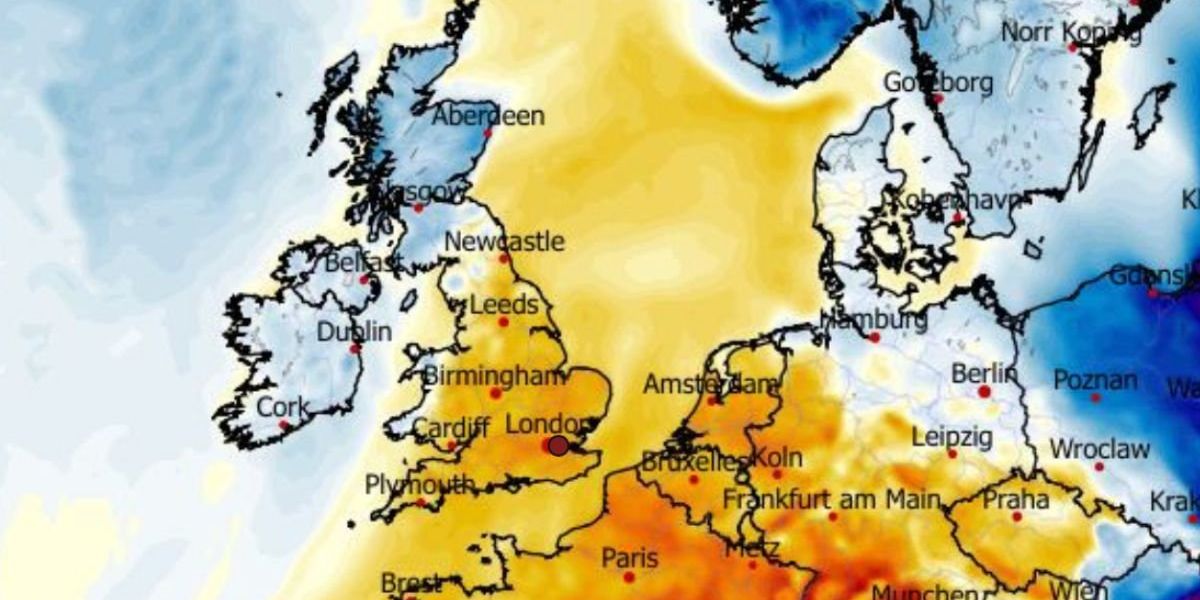 Swirling banks of chilly mist threaten to smother Britain in shroud of murky fog after Storm Goretti