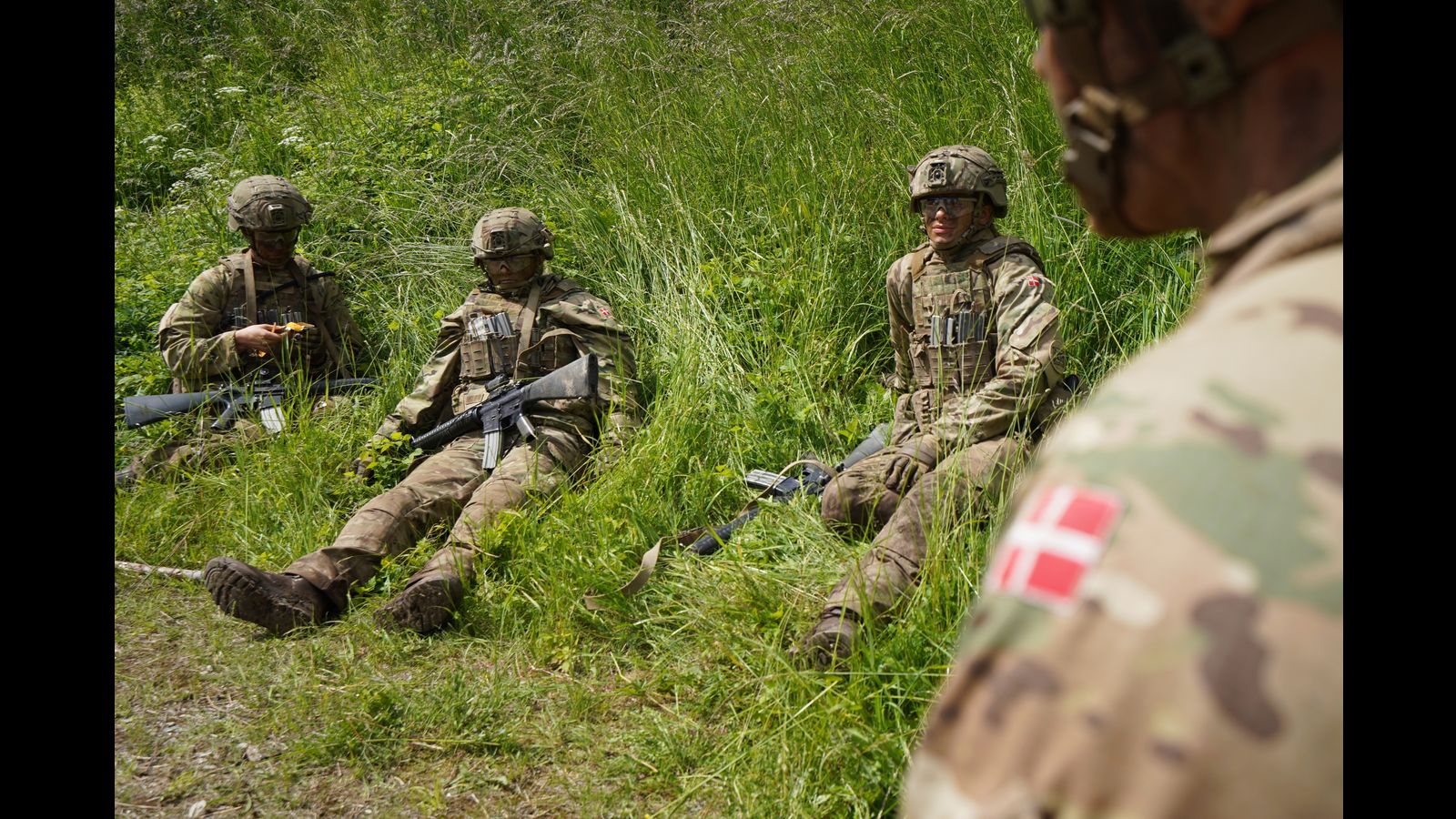 Europe’s cannon fodder: Introduction and expansion of conscription in numerous EU countries