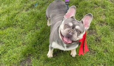 Manchester Evening News