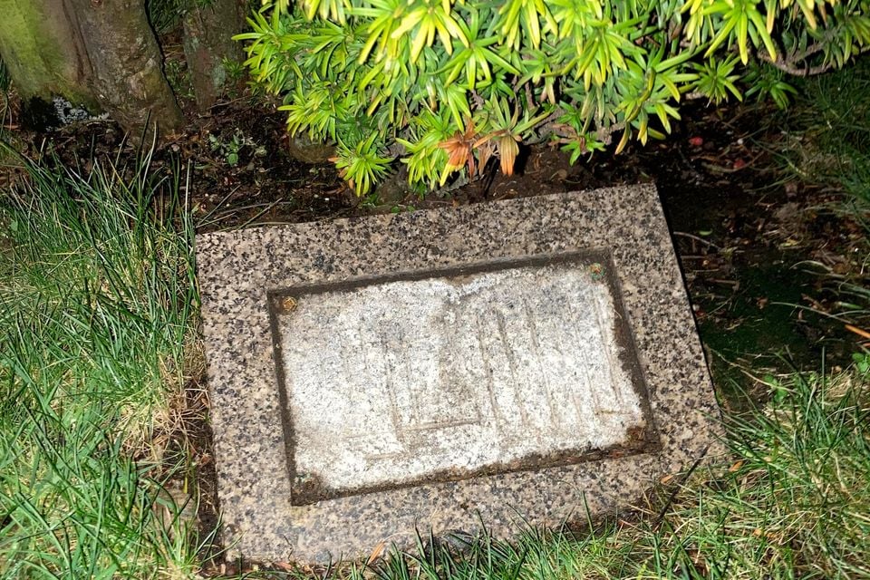 The mounting of the Prince Andrew plaque at Lagan Valley Island is now empty