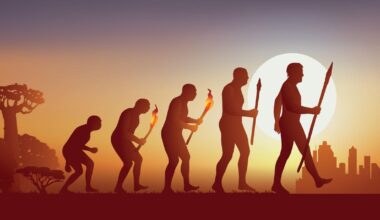 We Evolved Something Else Instead