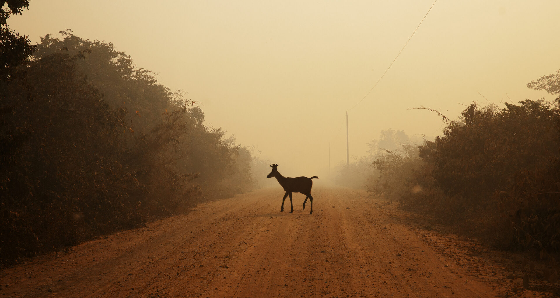 The 8 Best Photography Exhibitions Coming to London in 2026