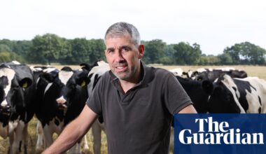‘I’m losing £1,800 a day’: the stark reality for Britain’s dairy farmers | Farming