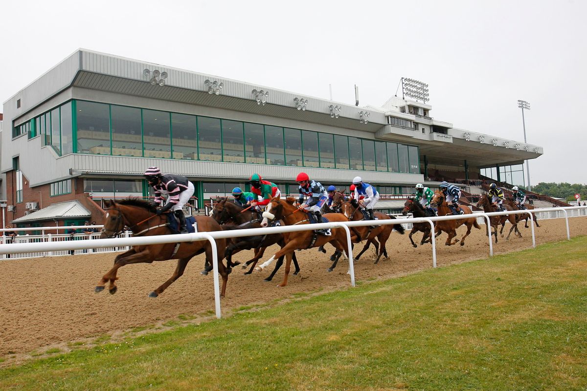 Wolverhampton hosts a seven-race meeting on Monday when Newsboy’s nap, Zoulu Warrior, is fancied to win the 7.00