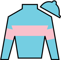 Horse Silk Madaket Road