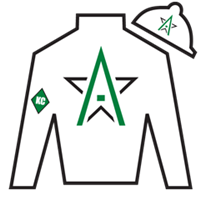 Horse Silk Tappan Street