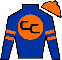 Horse Silk White Abarrio