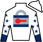 Horse Silk Catalytic