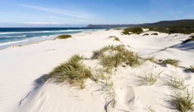 Scientists find space signals inside Australian beach sand