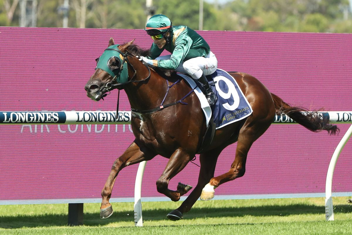 Cannonball: ran twice at Royal Ascot in 2023