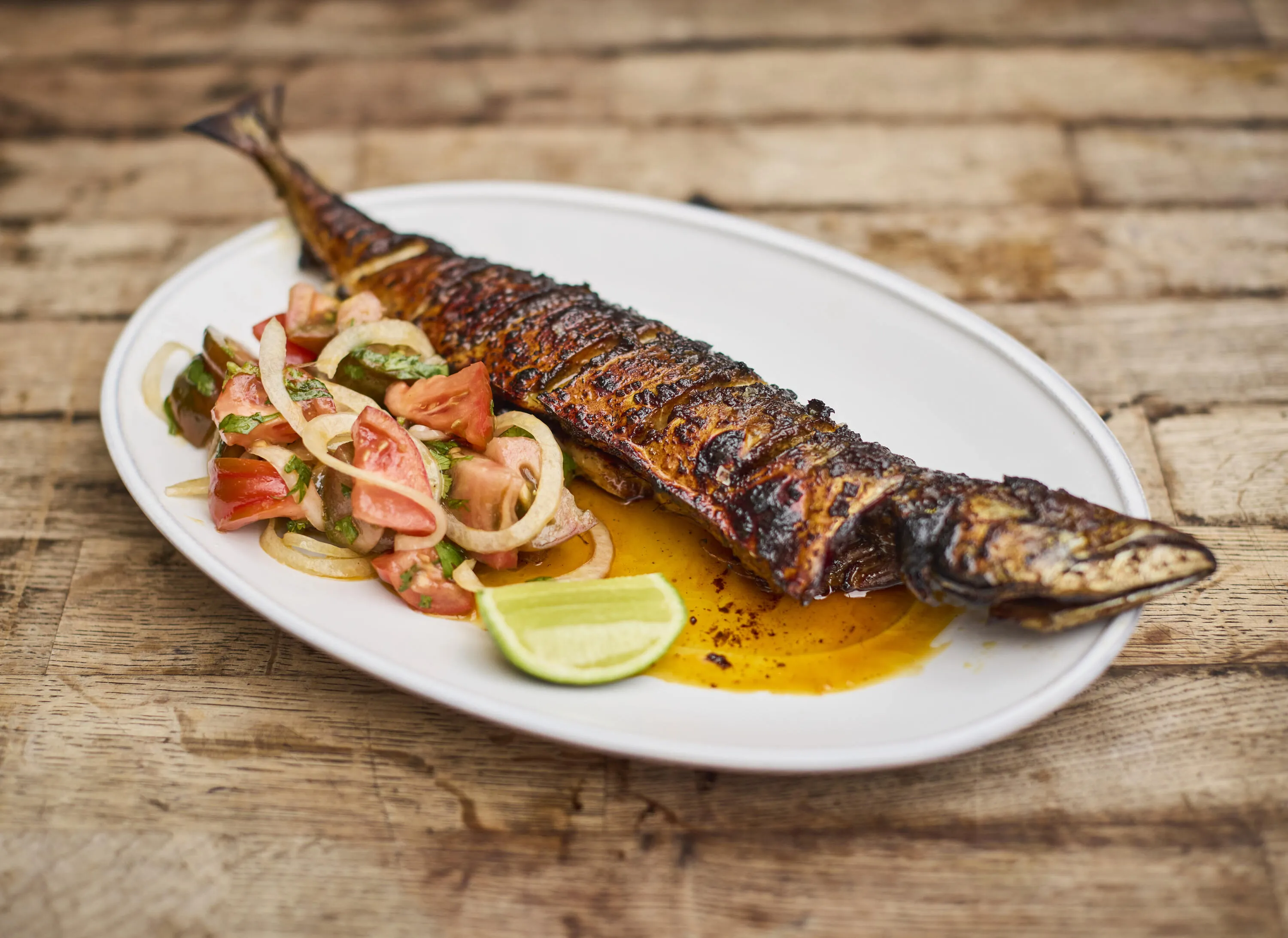 Acme Fire Cult, curry house dishes