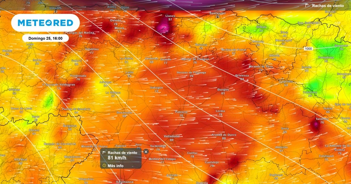 Manchester Evening News