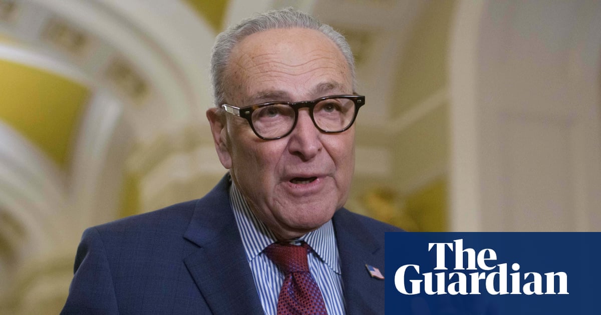 Schumer: Democrats will block funding package if it includes homeland security money | US politics