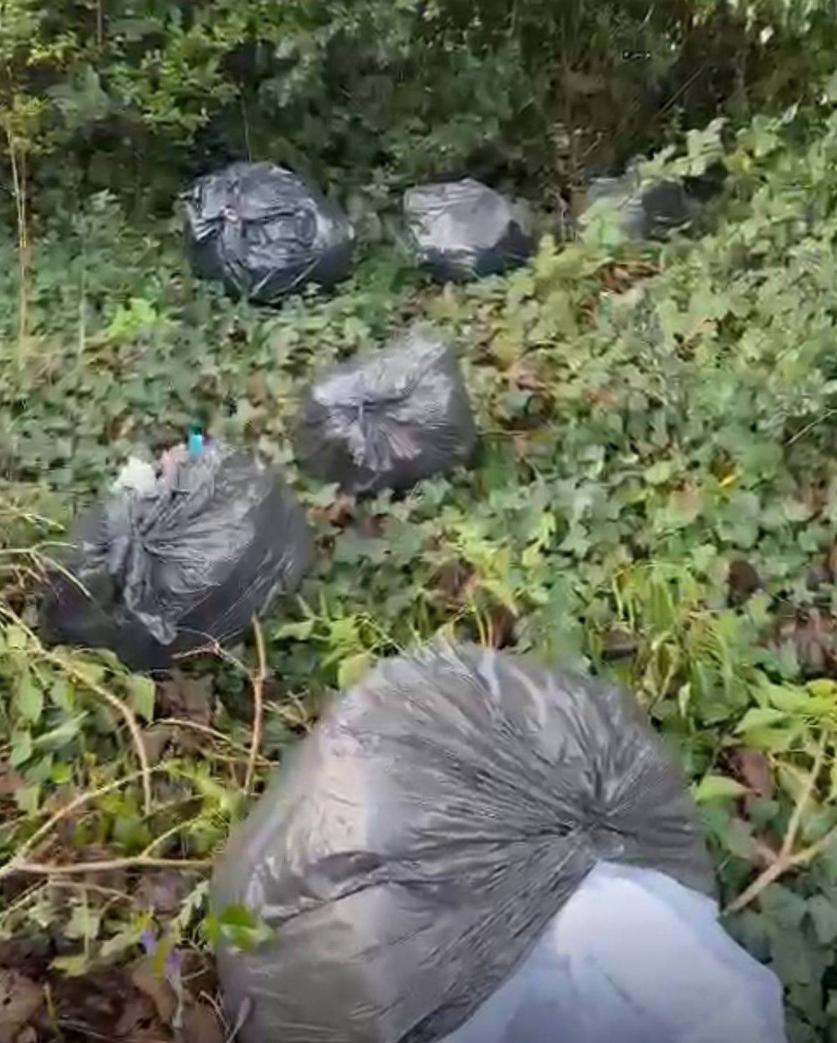 A male has been caught on CCTV dumping rubbish bags in Belle Walk, Moseley just after midnight on Feb 7, 2024