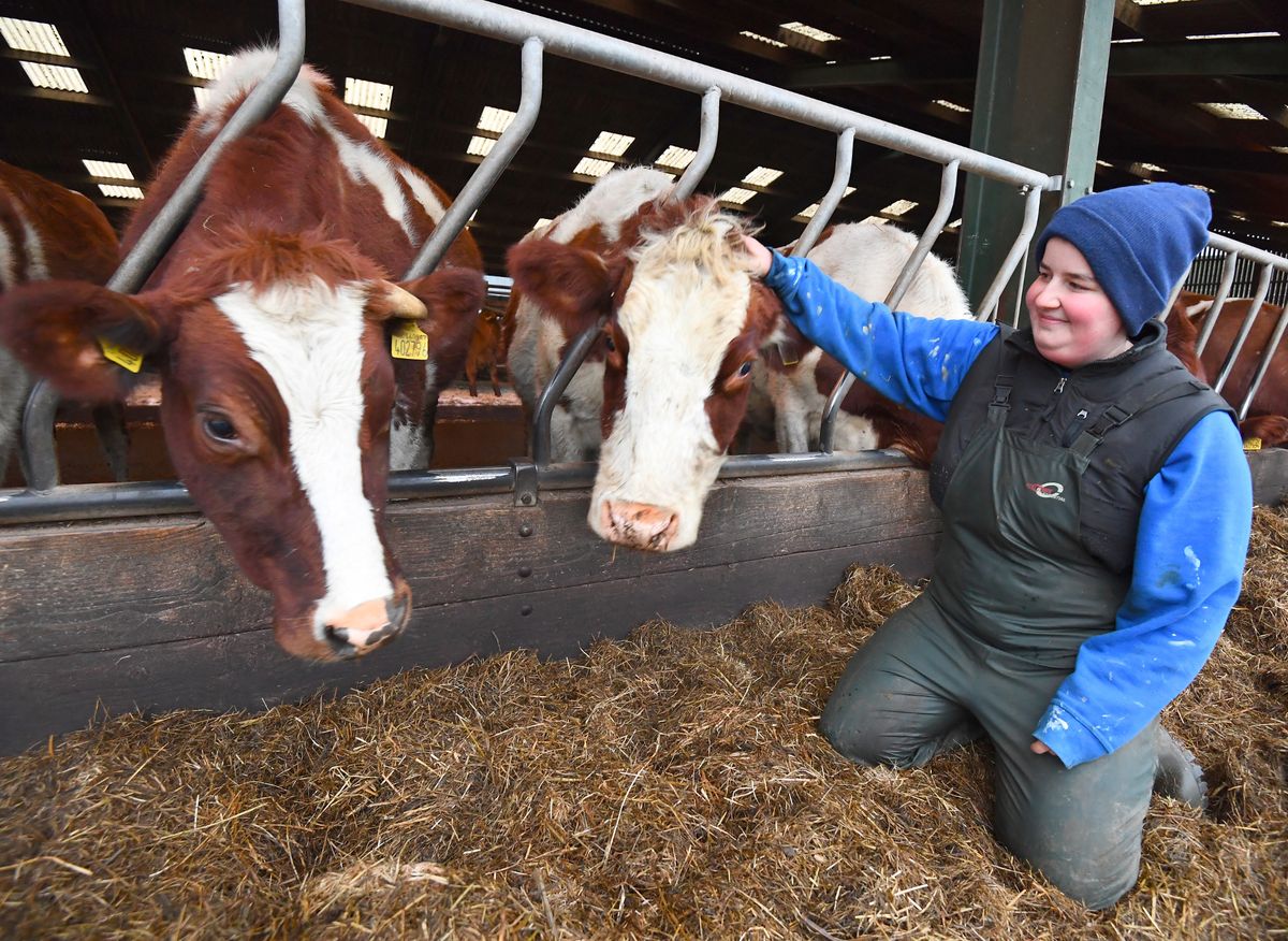 A.J. Capewell with cows at Peckforton Dairy Farm