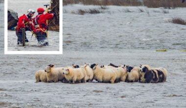 Northern Ireland school closures: Storm Chandra hits causing power cuts and roads disruption as Met Office issue amber and yellow weather warnings for wind and rain with snow possible