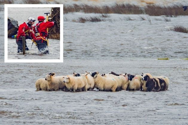 Northern Ireland school closures: Storm Chandra hits causing power cuts and roads disruption as Met Office issue amber and yellow weather warnings for wind and rain with snow possible
