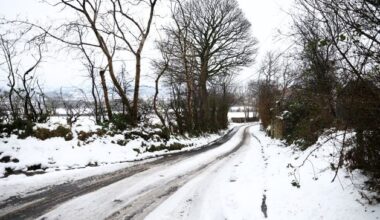 ‘The hearse couldn’t get up the hill’: SDLP MLA Patsy McGlone forced to intervene to ensure funerals could go ahead during snow