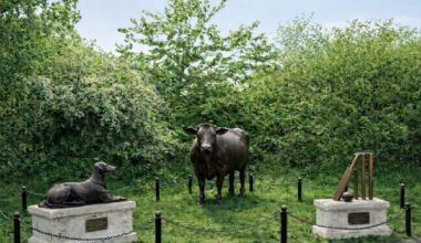 Manchester Evening News