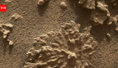 NASA’s Curiosity finds a Mars rock shaped like coral in a close-up image |