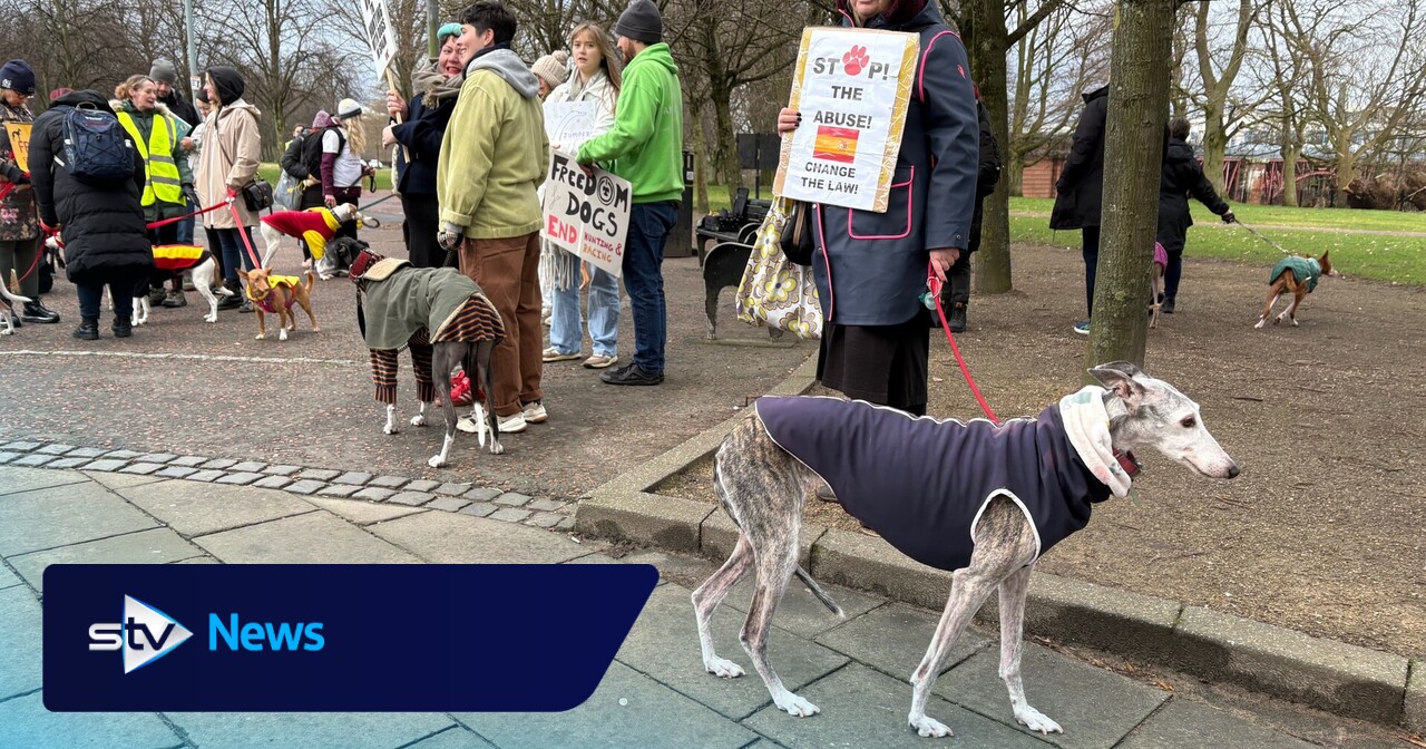 Campaigners march in call to end hunting with dogs in Spain