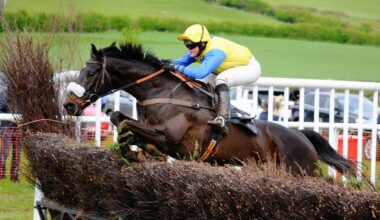 Point to Point coming to Sheriff Hutton this weekend
