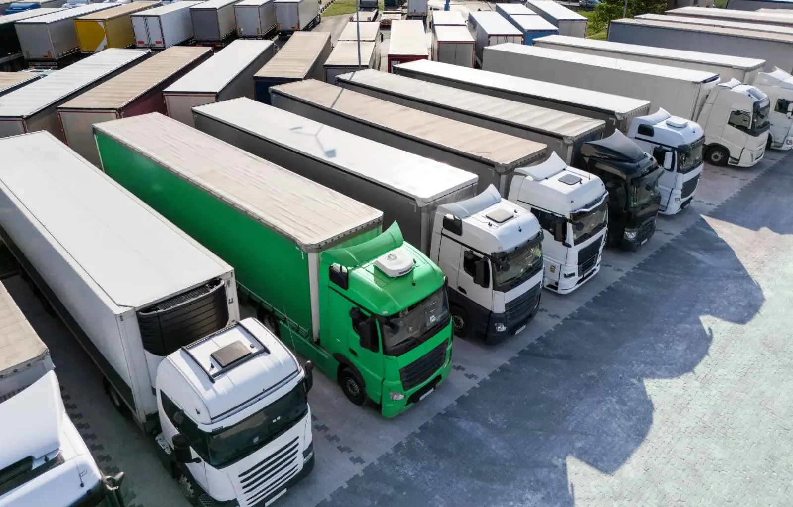 COSCO targets Hamburg hinterland logistics