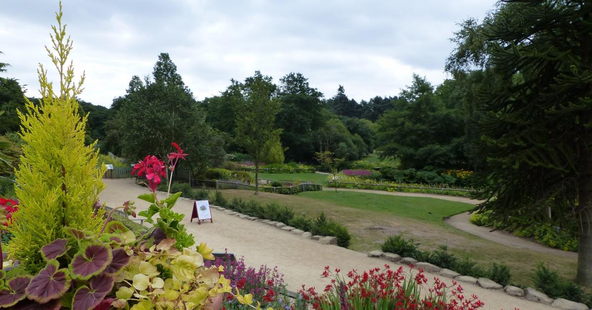 Bid to suspend parking charges at beauty spots in Leeds