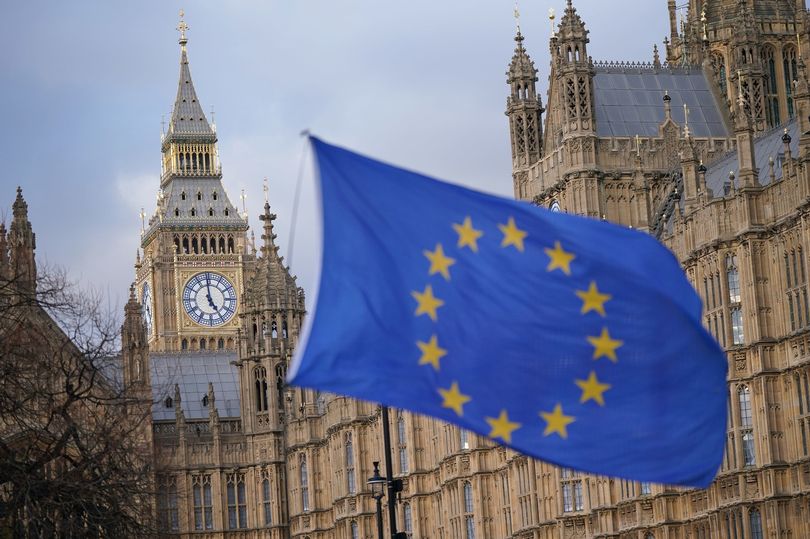 Do you want Britain to reverse Brexit and rejoin the EU?