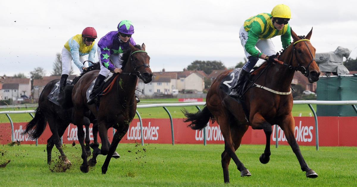 Jump racing to return to Ayr with exciting seven-race card