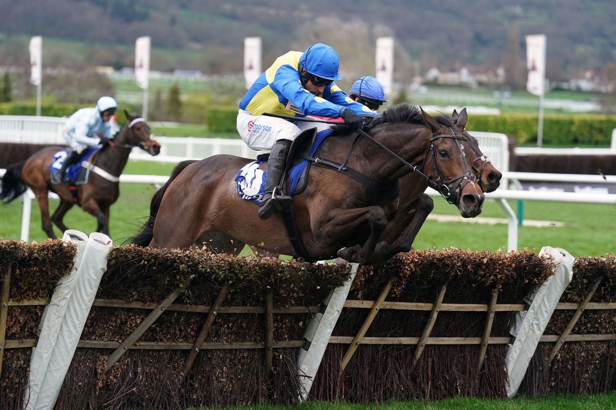 Langer Dan: had missed last year's Cheltenham Festival due to a respiratory issue