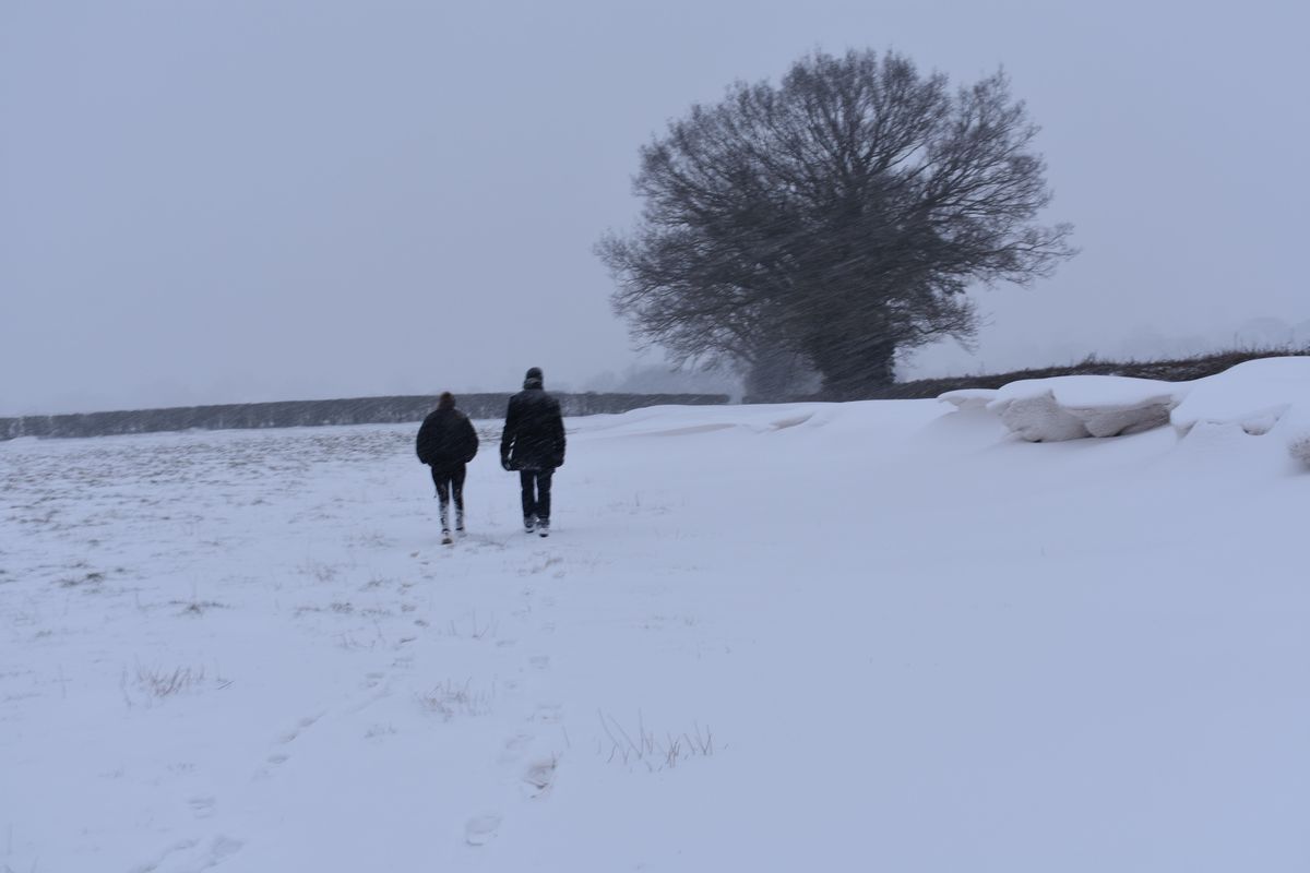 Two people walking through a field in the snow