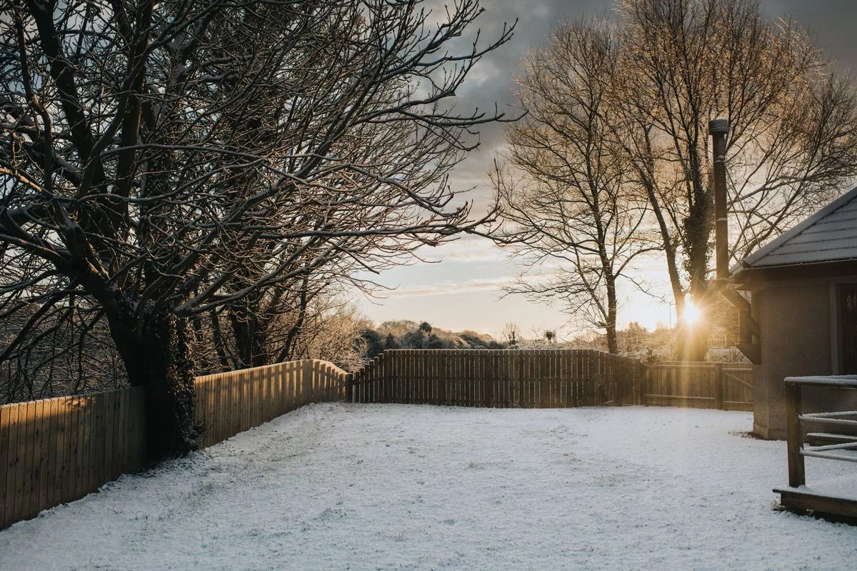 A wintry scene with snow on a field and depicting frosty scenes