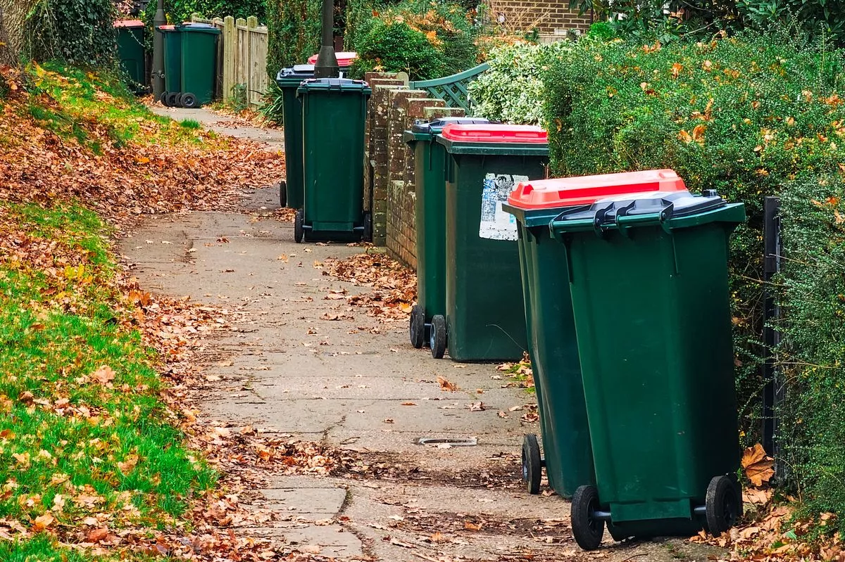 Bins - both trash and recycling - in a row on a residential city street awaiting collection by the waste management services.