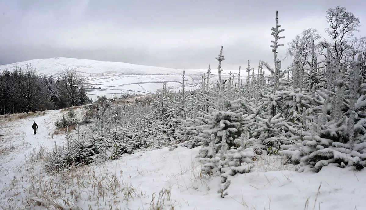 Snow transforms Macclesfield Forest