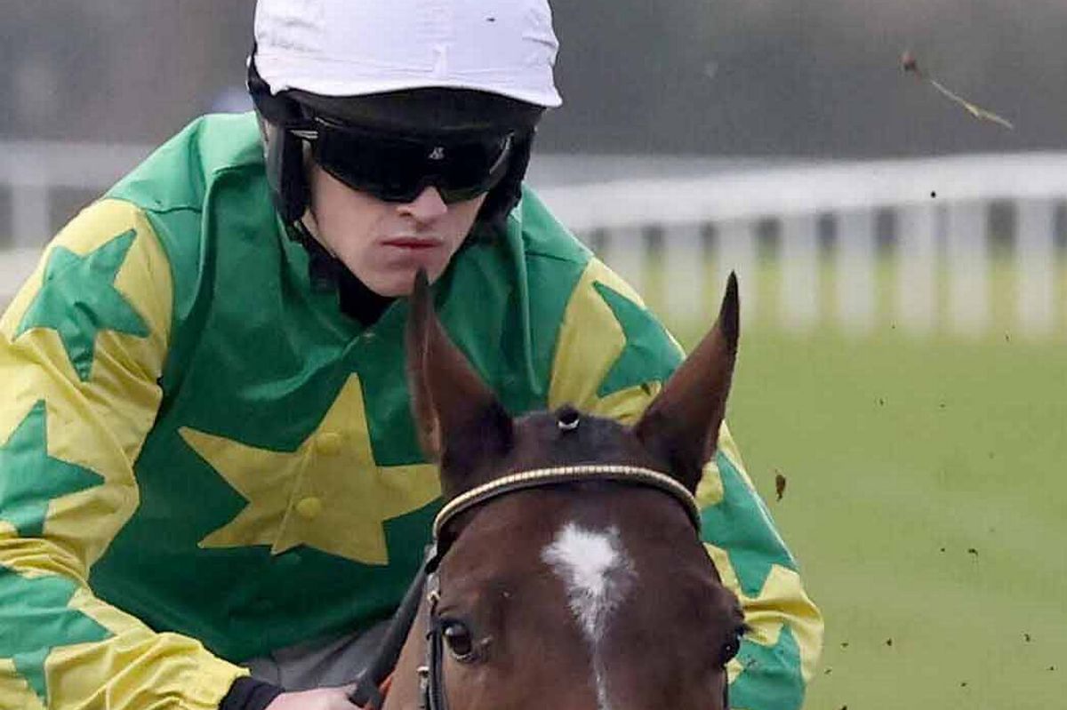 Liam Quinlan: fined by stewards